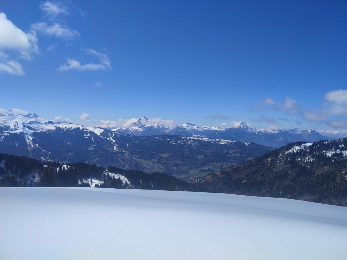 Samoens Residence Grand Tetras 4 Personnes Piscine ภายนอก รูปภาพ